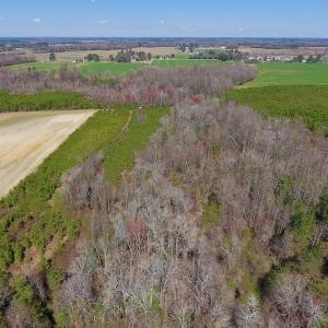 Photo of UNDER CONTRACT!  56.69 Acres of Farm and Timber Land For Sale in Wilson County NC!