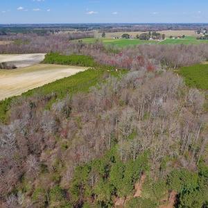 Photo of UNDER CONTRACT!  56.69 Acres of Farm and Timber Land For Sale in Wilson County NC!
