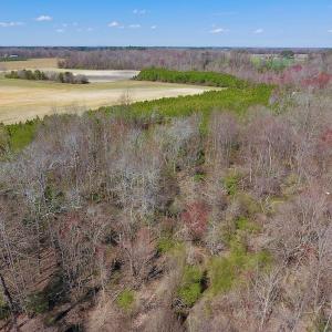 Photo of UNDER CONTRACT!  56.69 Acres of Farm and Timber Land For Sale in Wilson County NC!