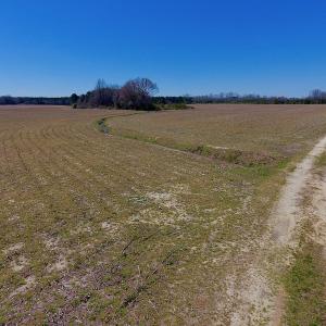 Photo of UNDER CONTRACT!  56.69 Acres of Farm and Timber Land For Sale in Wilson County NC!