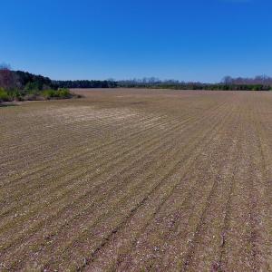 Photo of UNDER CONTRACT!  56.69 Acres of Farm and Timber Land For Sale in Wilson County NC!
