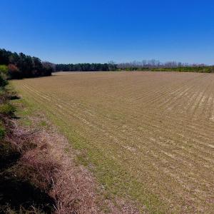 Photo of UNDER CONTRACT!  56.69 Acres of Farm and Timber Land For Sale in Wilson County NC!