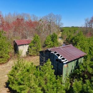 Photo of UNDER CONTRACT!  56.69 Acres of Farm and Timber Land For Sale in Wilson County NC!