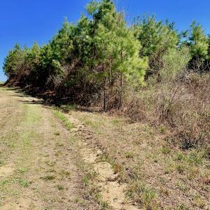 Photo of UNDER CONTRACT!  56.69 Acres of Farm and Timber Land For Sale in Wilson County NC!