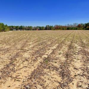 Photo of UNDER CONTRACT!  56.69 Acres of Farm and Timber Land For Sale in Wilson County NC!