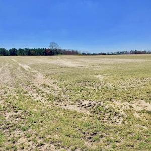 Photo of UNDER CONTRACT!  56.69 Acres of Farm and Timber Land For Sale in Wilson County NC!
