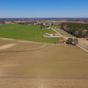 Photo of UNDER CONTRACT!  56.69 Acres of Farm and Timber Land For Sale in Wilson County NC!