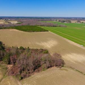Photo of UNDER CONTRACT!  56.69 Acres of Farm and Timber Land For Sale in Wilson County NC!