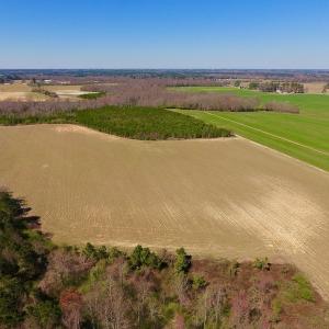 Photo of UNDER CONTRACT!  56.69 Acres of Farm and Timber Land For Sale in Wilson County NC!