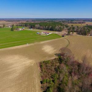 Photo of UNDER CONTRACT!  56.69 Acres of Farm and Timber Land For Sale in Wilson County NC!
