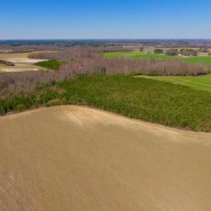 Photo of UNDER CONTRACT!  56.69 Acres of Farm and Timber Land For Sale in Wilson County NC!