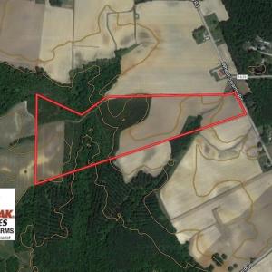 Photo of UNDER CONTRACT!  56.69 Acres of Farm and Timber Land For Sale in Wilson County NC!