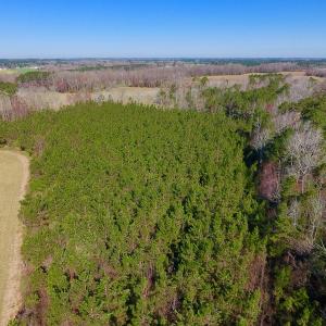 Photo of UNDER CONTRACT!  16.44 Acres of Investment Land For Sale in Wilson County NC!