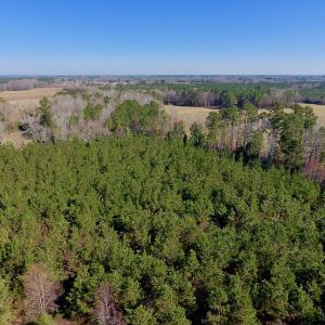 Photo of UNDER CONTRACT!  16.44 Acres of Investment Land For Sale in Wilson County NC!