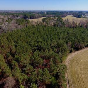 Photo of UNDER CONTRACT!  16.44 Acres of Investment Land For Sale in Wilson County NC!