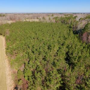 Photo of UNDER CONTRACT!  16.44 Acres of Investment Land For Sale in Wilson County NC!
