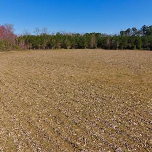 Photo of UNDER CONTRACT!  16.44 Acres of Investment Land For Sale in Wilson County NC!
