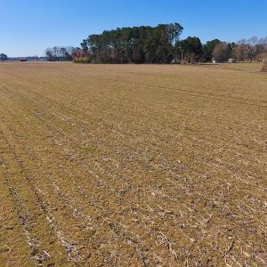 Photo of UNDER CONTRACT!  16.44 Acres of Investment Land For Sale in Wilson County NC!