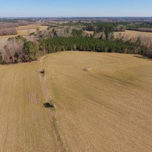Photo of UNDER CONTRACT!  16.44 Acres of Investment Land For Sale in Wilson County NC!