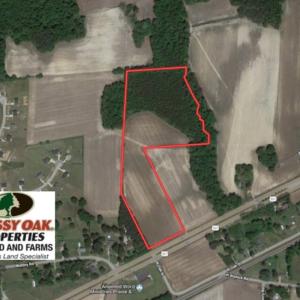Photo of UNDER CONTRACT!  16.44 Acres of Investment Land For Sale in Wilson County NC!