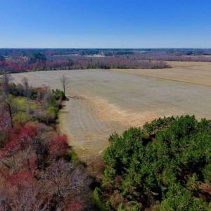Photo of SOLD!!  81.75 Acres of Farm and Timber Land For Sale in Wilson County NC!