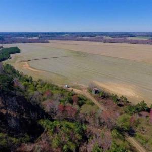 Photo of SOLD!!  81.75 Acres of Farm and Timber Land For Sale in Wilson County NC!