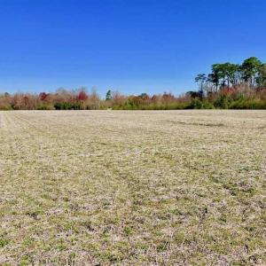 Photo of SOLD!!  81.75 Acres of Farm and Timber Land For Sale in Wilson County NC!