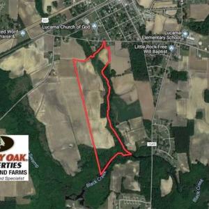 Photo of SOLD!!  81.75 Acres of Farm and Timber Land For Sale in Wilson County NC!