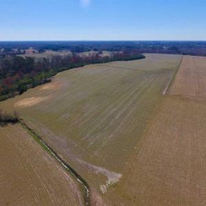 Photo of SOLD!!  81.75 Acres of Farm and Timber Land For Sale in Wilson County NC!