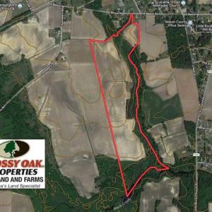 Photo of SOLD!!  81.75 Acres of Farm and Timber Land For Sale in Wilson County NC!