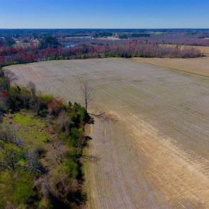 Photo of SOLD!!  81.75 Acres of Farm and Timber Land For Sale in Wilson County NC!