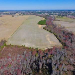 Photo of SOLD!!  81.75 Acres of Farm and Timber Land For Sale in Wilson County NC!