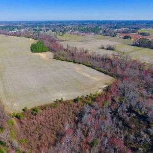 Photo of SOLD!!  81.75 Acres of Farm and Timber Land For Sale in Wilson County NC!
