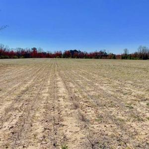 Photo of SOLD!!  81.75 Acres of Farm and Timber Land For Sale in Wilson County NC!