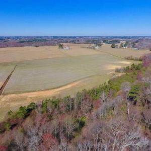 Photo of SOLD!!  81.75 Acres of Farm and Timber Land For Sale in Wilson County NC!