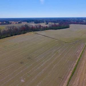 Photo of SOLD!!  81.75 Acres of Farm and Timber Land For Sale in Wilson County NC!