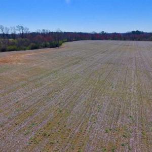 Photo of SOLD!!  81.75 Acres of Farm and Timber Land For Sale in Wilson County NC!
