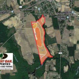 Photo of SOLD!!  81.75 Acres of Farm and Timber Land For Sale in Wilson County NC!