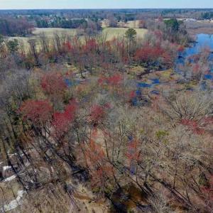 Photo of SOLD!!  81.75 Acres of Farm and Timber Land For Sale in Wilson County NC!