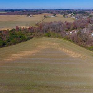 Photo of SOLD!!  81.75 Acres of Farm and Timber Land For Sale in Wilson County NC!