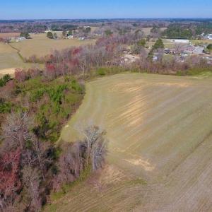 Photo of SOLD!!  81.75 Acres of Farm and Timber Land For Sale in Wilson County NC!