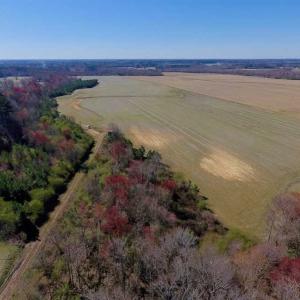 Photo of SOLD!!  81.75 Acres of Farm and Timber Land For Sale in Wilson County NC!