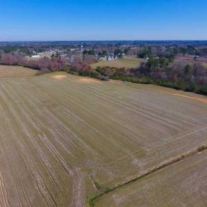 Photo of SOLD!!  81.75 Acres of Farm and Timber Land For Sale in Wilson County NC!