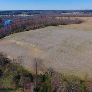 Photo of SOLD!!  81.75 Acres of Farm and Timber Land For Sale in Wilson County NC!