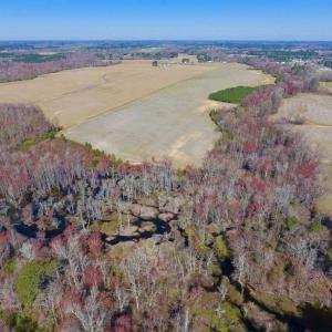 Photo of SOLD!!  81.75 Acres of Farm and Timber Land For Sale in Wilson County NC!