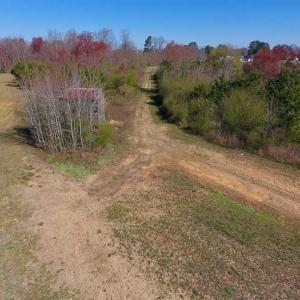 Photo of SOLD!!  81.75 Acres of Farm and Timber Land For Sale in Wilson County NC!