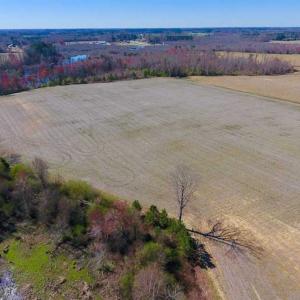 Photo of SOLD!!  81.75 Acres of Farm and Timber Land For Sale in Wilson County NC!