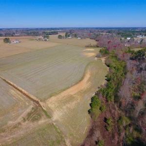 Photo of SOLD!!  81.75 Acres of Farm and Timber Land For Sale in Wilson County NC!