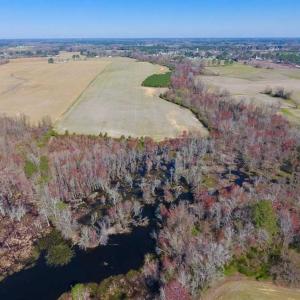 Photo of SOLD!!  81.75 Acres of Farm and Timber Land For Sale in Wilson County NC!