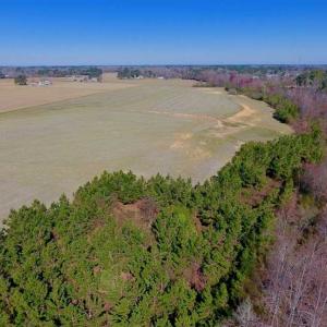 Photo of SOLD!!  81.75 Acres of Farm and Timber Land For Sale in Wilson County NC!